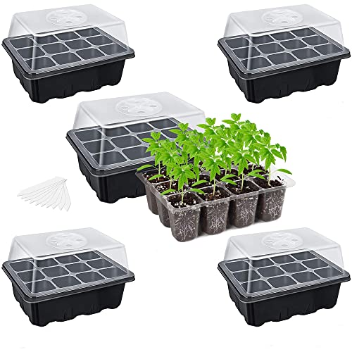 6/12 Cells Seed Starter Kit Plant Seeds